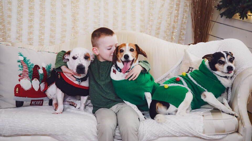 Young autistic boy smiling and sitting on a bed with three rescue dogs in festive Christmas sweaters, showing a deep emotional bond and joy during the holiday season.