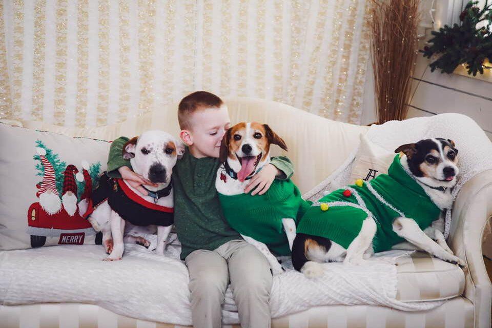 Young autistic boy smiling and sitting on a bed with three rescue dogs in festive Christmas sweaters, showing a deep emotional bond and joy during the holiday season.