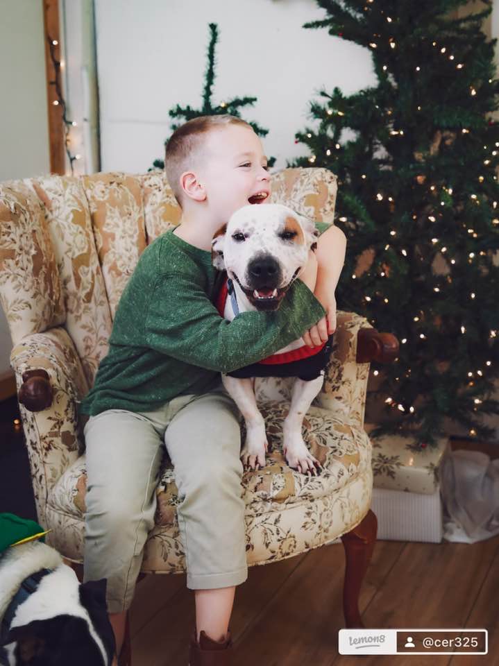 Young autistic boy smiling and sitting on a bed with three rescue dogs in festive Christmas sweaters, showing a deep emotional bond and joy during the holiday season.