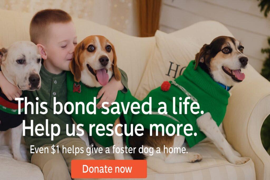 Young autistic boy cuddling two rescue dogs in Christmas sweaters on a couch with a donation appeal overlaid that reads: “This bond saved a life. Help us rescue more.