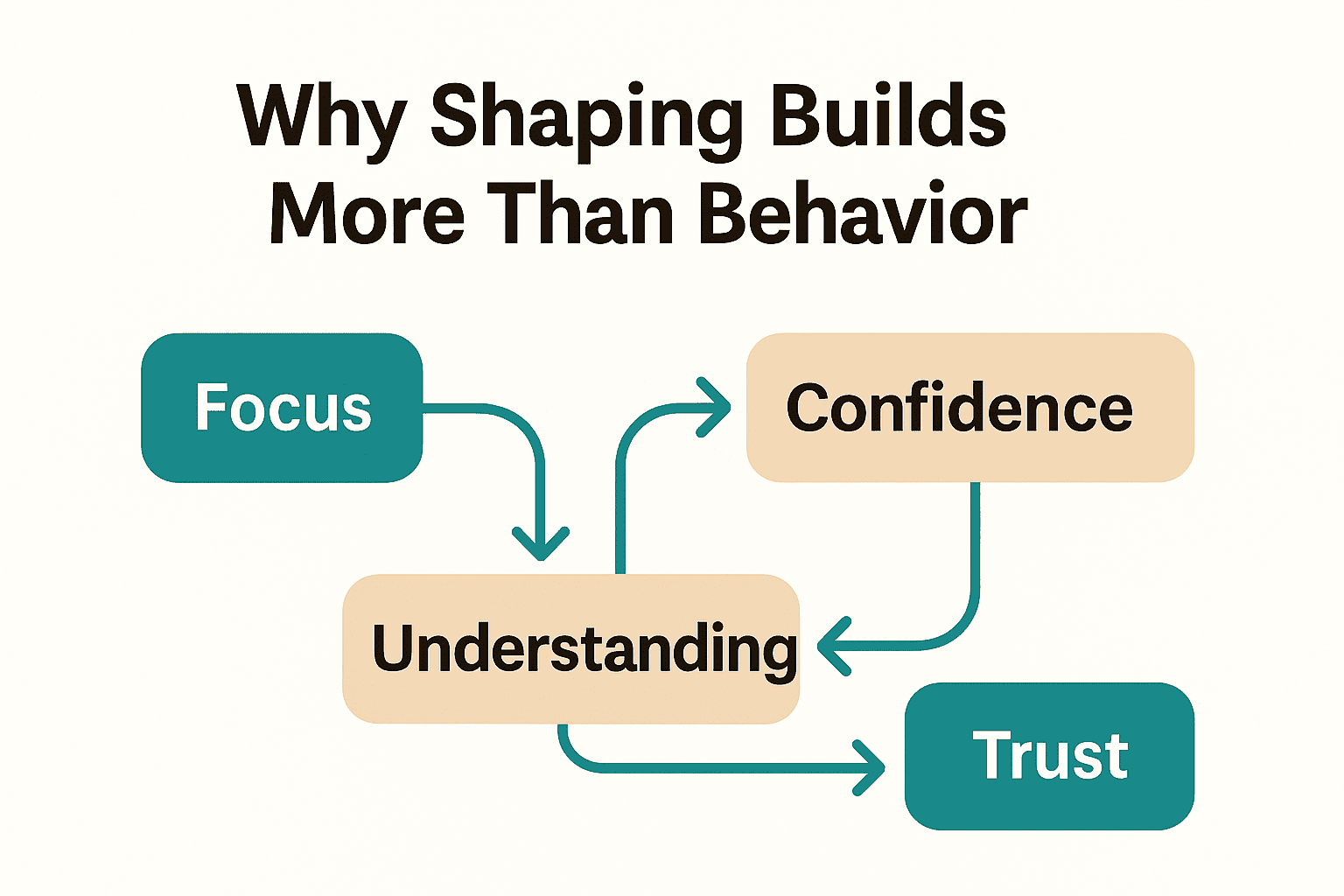 Shaping in Dog training flowchart showing step-by-step shaping behavior process