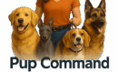 Pup Command logo featuring female dog trainer walking four dogs