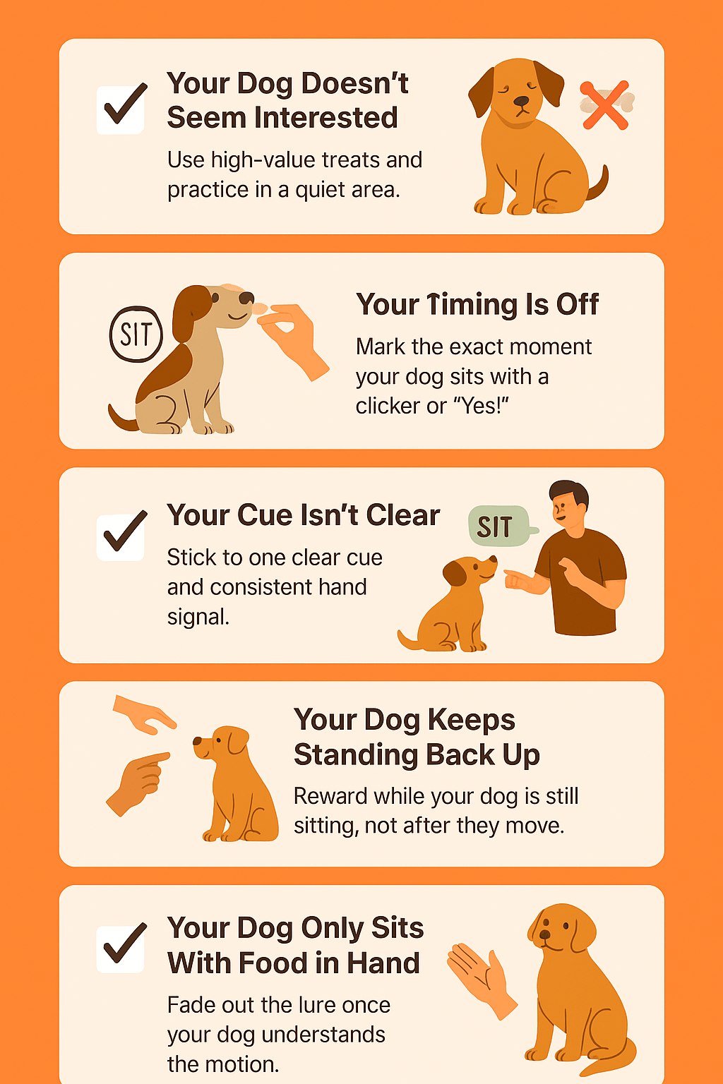 Checklist infographic showing common troubleshooting tips for teaching your dog to sit and stay. Designed in bright orange with illustrations of dogs training, distractions, and handler posture.