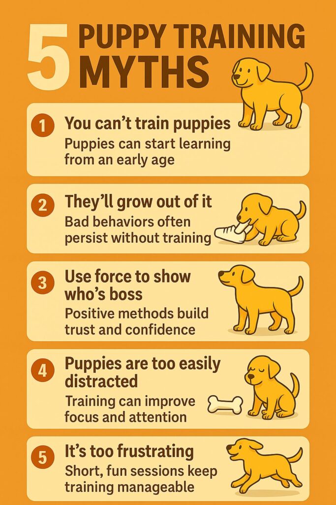 Infographic showing the 5 core puppy training principles: Positive Reinforcement, Classical Conditioning, Shaping, Desensitization, and Counterconditioning
