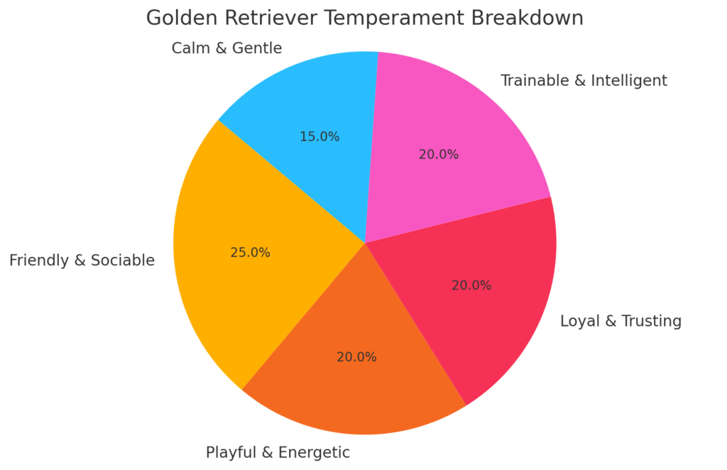 Pie chart showing the temperament breakdown of the Golden Retriever dog breed, including traits like friendly, playful, loyal, and gentle