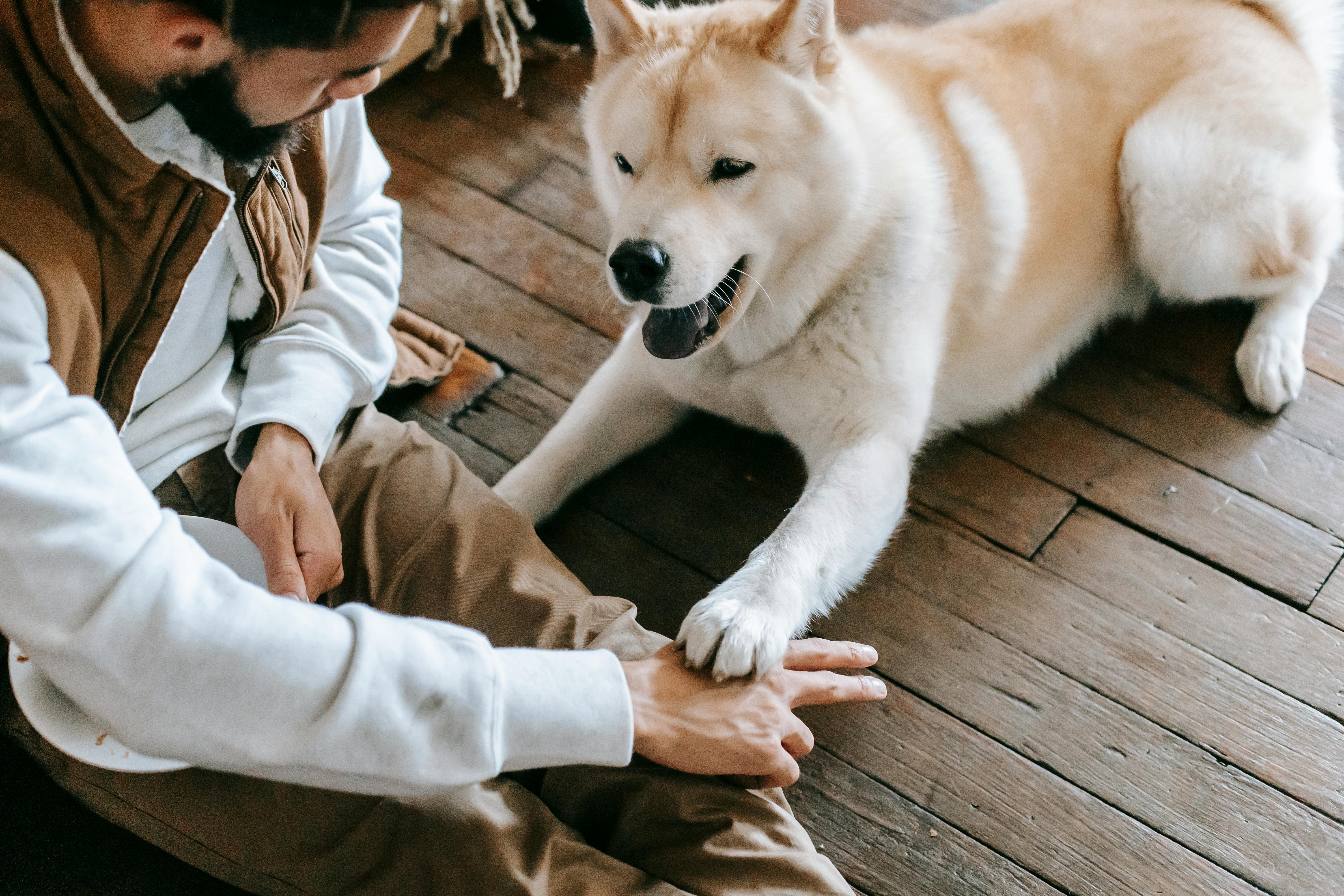 pexels-photo-5745213-5745213