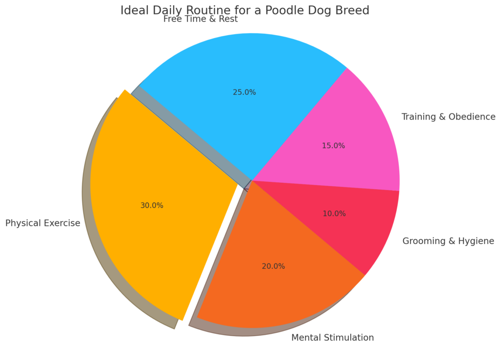 Pie chart showing ideal daily activity breakdown for the Poodle dog breed, including exercise, mental stimulation, grooming, training, and rest. 