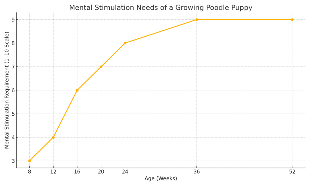 Line chart showing the increase in mental stimulation needs of a Poodle puppy from 8 weeks to 1 year of age, based on a 1–10 scale.