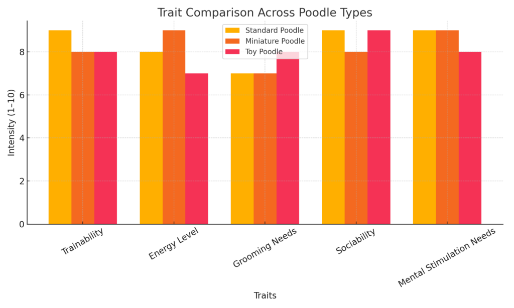Bar graph comparing key traits of Standard, Miniature, and Toy Poodles including trainability, energy level, grooming needs, sociability, and mental stimulation.
